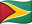 Guyana flag