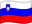 Slovenia flag